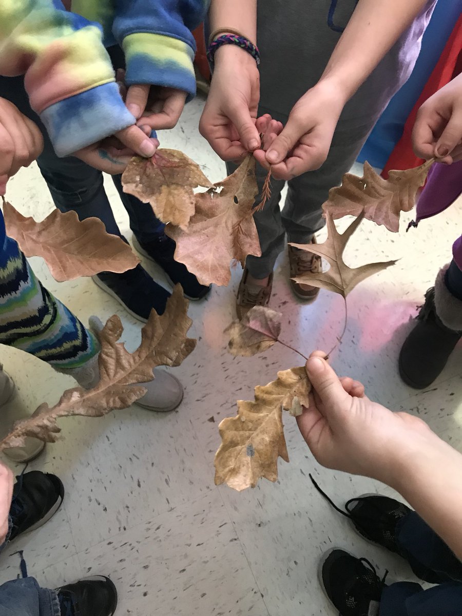 Michelle Nelson tweet media