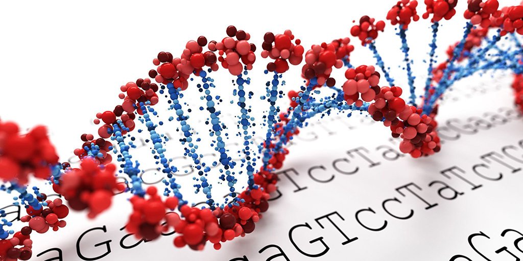 argprecovery's tweet image. Gene Therapy Could Help People Overcome Meth Addiction #genetherapyandmeth
#methaddictiontreatmentwithgenetherapy ow.ly/CtRi30gQ5bj