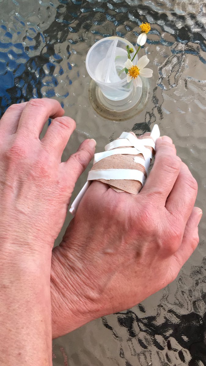 DianeEarnhardt's tweet photo. My wounded friend, brought me πΉπΊπΈπΉπΊπ·... ? Say'in Your front yard is #FreeForTheTaking.. π€£πΈππΉπ€£ https://t.co/nLDaNg69nL