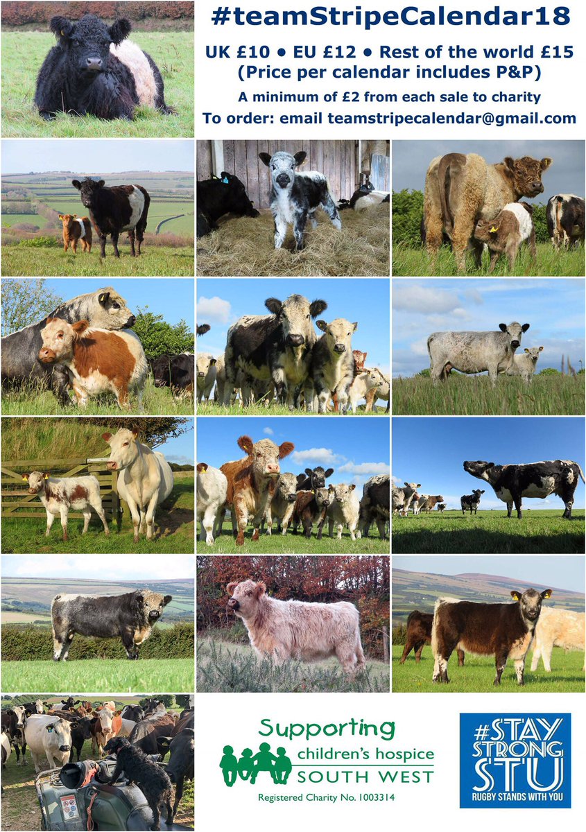 newlandfarm's tweet photo. Gap narrowed #teamStripe now just 1 behind #teamCoo #Charity #CHSW #StayStrongStu #CyberMonday ๐ฎ๐๐ฎ๐๐๐ https://t.co/LbNEV9dCG4