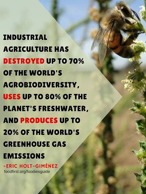 _AnimalActivist's tweet photo. https://t.co/oFypdJFSex
