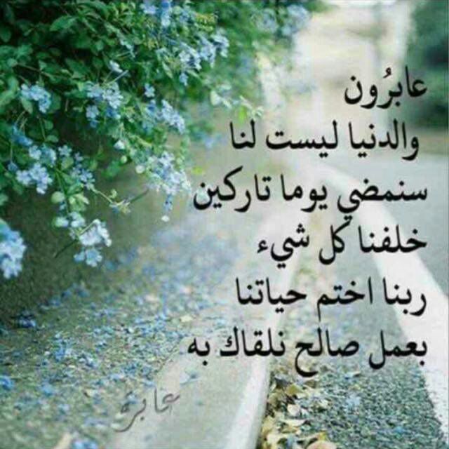 a0p__'s tweet photo. #قروب_الصعفاني_للدعم
#قروب_جنون_للدعم
#صدق_المشاعر_للدعم
#ميامي_للدعم
#تشتاق_لي_للدعم
#قروب_الشيوخ_للتبادل
#ننوش_للدعم
#جنون_القلم 
#كب_تاوون_للدعم
#سحائب_الغيث
#قروب_الغلا_للدعم
#قروب_شام_للدعم
#اليمن_موطن_الجمال
#مسكنه_للدعم
#قروب_جوهره_للدعم https://t.co/gTDbJnJlsC