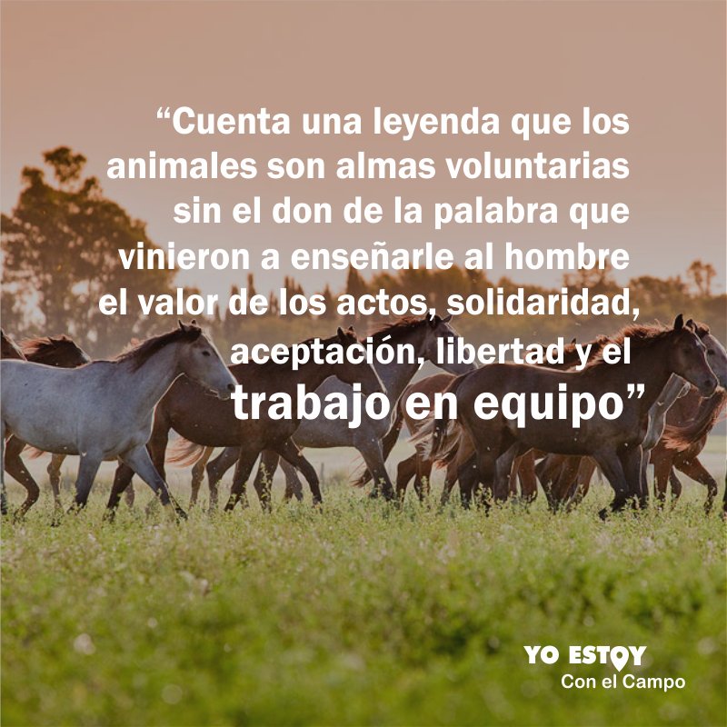 Si trabajamos todos juntos, podemos hacer muchas cosas. ¡Fuerza el campo argentino!