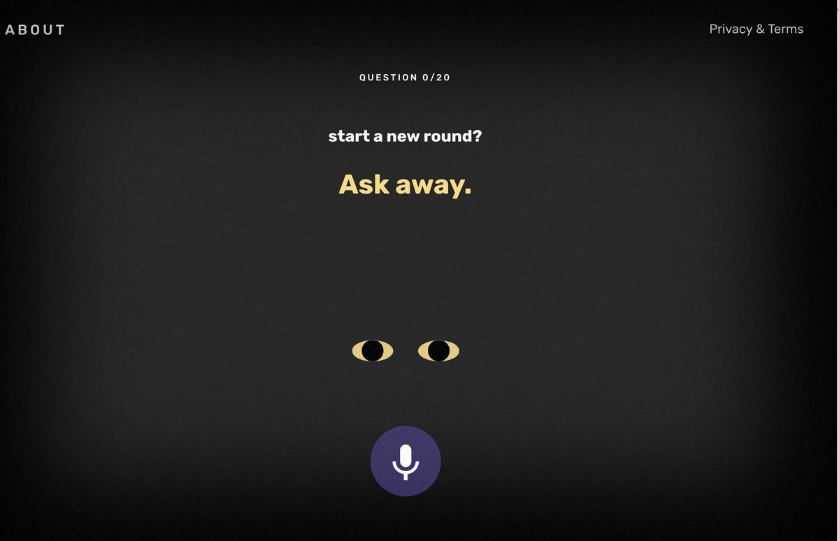 20 questions google home