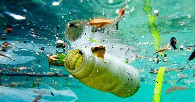 We Are Surfers: Drinking Tap Water Might Be the Simplest Solution to Ocean #PlasticPollution wearesurfer.net/2017/11/drinki…