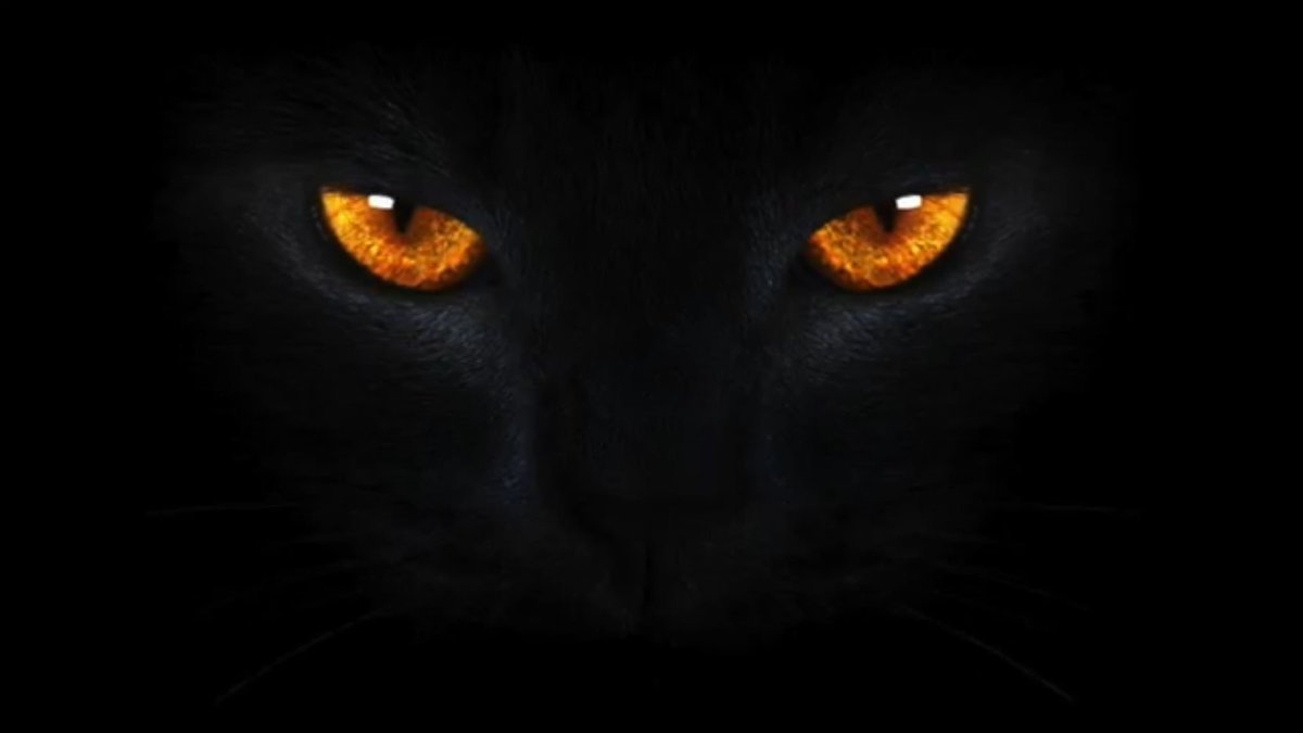 Congrats to our <a href="/MW_Bowling/">MW Unified Bowling and Unified Track</a> team &amp; their 3rd place finish.  We are very proud of you and your efforts. 
1 - Papio South 845
2 - Millard North 816
3 - Millard West 700
4 - Papio-LV 668
5 - Millard South 602
6 - Westside 473
7 - Ralston 378
Papio South will move on to state!