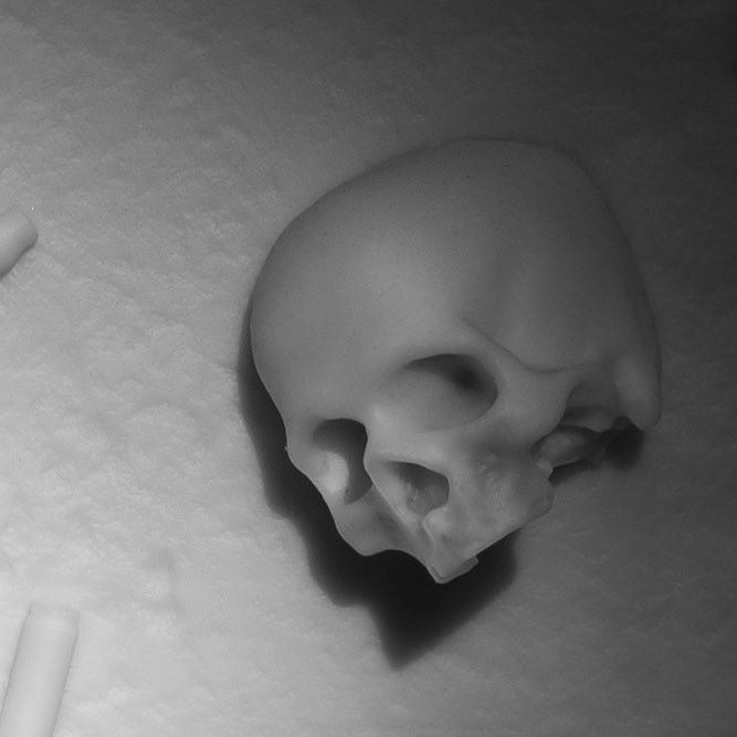 Seth Steinbach tweet media