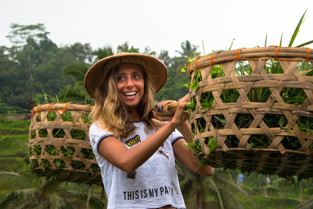 indoexcursions's tweet photo. Learn to live traditionally in Indonesia is something I always miss
https://t.co/eponTfwNoa https://t.co/lvrZ432S5J