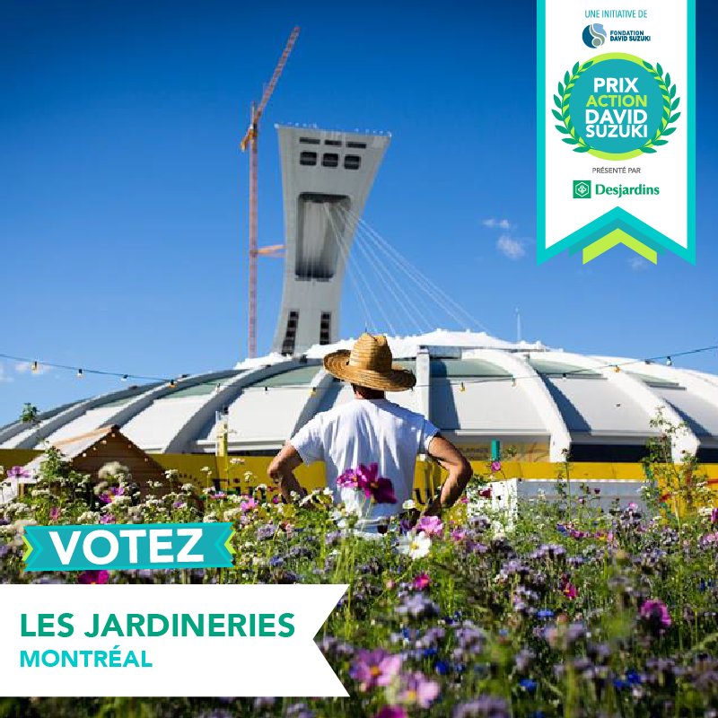 FondDavidSuzuki's tweet photo. Les Jardineries : un projet de réappropriation #durable et #écoresponsable des espaces post-olympiques, transformés en oasis urbaine. Aidez-les à remporter le #PrixAction et 4000$ offerts par @DesjardinsCoop ! ➡️ https://t.co/w2GiE2EIWC https://t.co/6Txj25vnyN