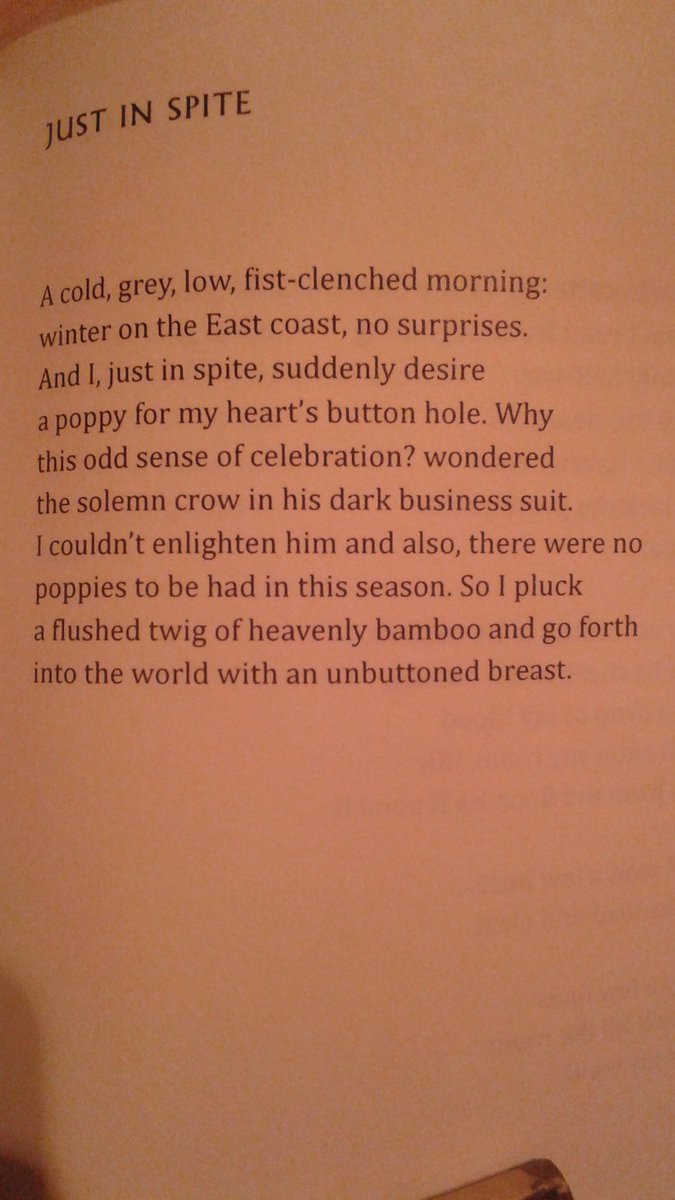 Two poems by Moshe Dor from 'Scorched by the Sun', trans by author and Barbara Goldberg, The Word Works
#NovPoetsInTranslation