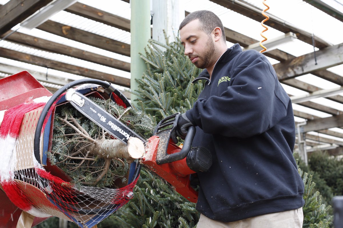 hicksnurseries's tweet photo. Learn how to care for your Fresh Cut Christmas Tree with these great tips from @hicksnurseries : https://t.co/l2IhCfqHHl #hicksnurseries #longisland #christmastree #northshoreli #nassaucountyny #queens #brooklyn #southshoreli #westbury #limoms #lidads #christmasdecorating #family https://t.co/K6ln7VE9Se