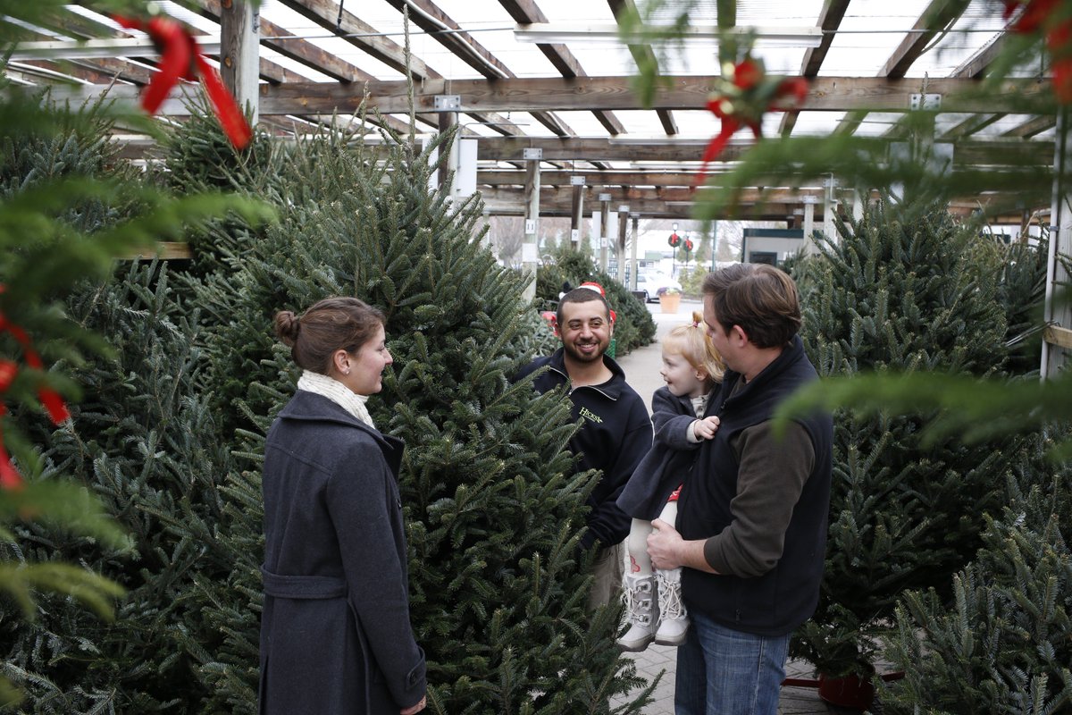 hicksnurseries's tweet photo. Learn how to care for your Fresh Cut Christmas Tree with these great tips from @hicksnurseries : https://t.co/l2IhCfqHHl #hicksnurseries #longisland #christmastree #northshoreli #nassaucountyny #queens #brooklyn #southshoreli #westbury #limoms #lidads #christmasdecorating #family https://t.co/K6ln7VE9Se