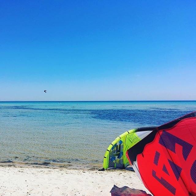 BranchOutAdv's tweet photo. What's your style, beach bum or adventure junky? 🐳🌊🏝#australianbeaches #gobranchout #familyadventures #thingstodoinmelbourne https://t.co/bV4EMlrwl9