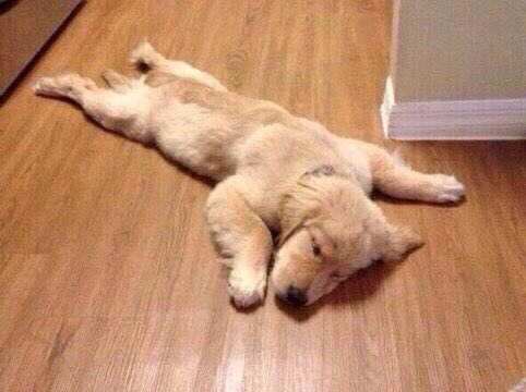 ArqFit's tweet photo. Exactly how I feel after an awesome workout!!
#arqfit #MotivationalMonday #getupandworkout #pushyourself https://t.co/Tj4dASz2Tr