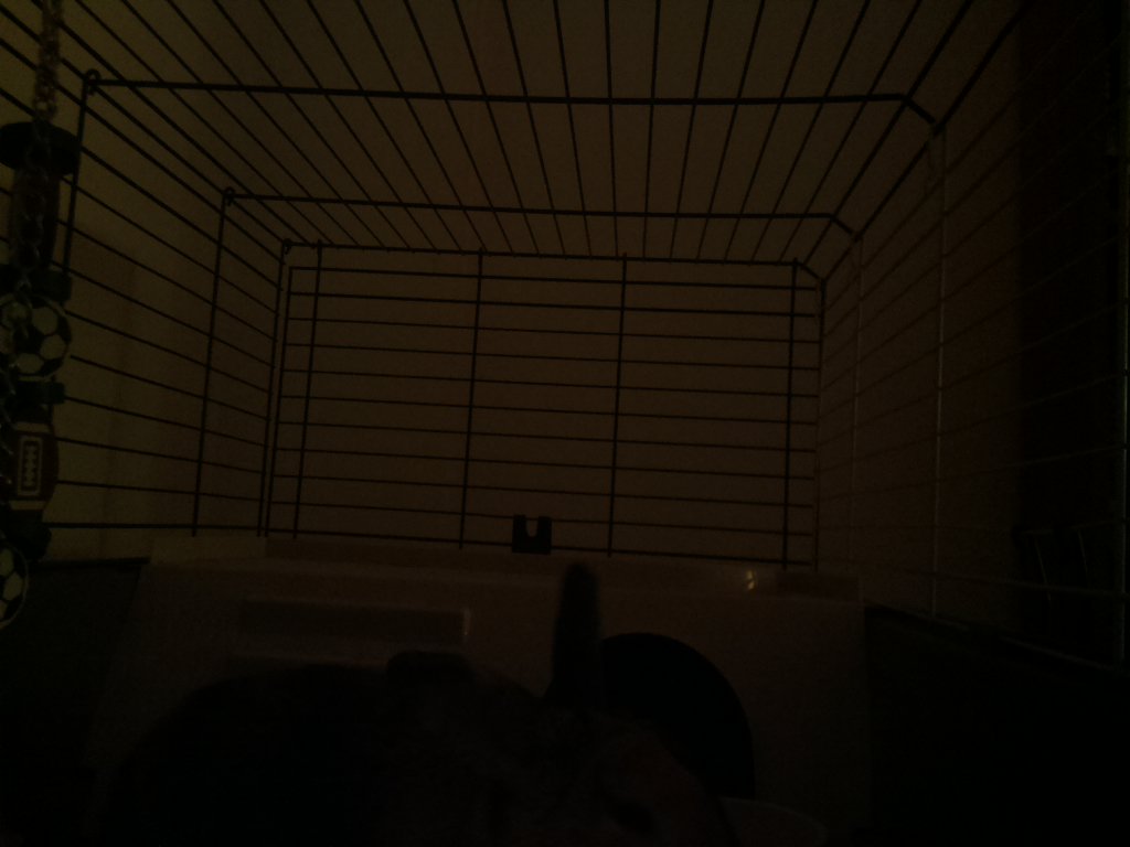 DexVision's tweet image. Dexvision live update at: 2017/11/27 23:00:01