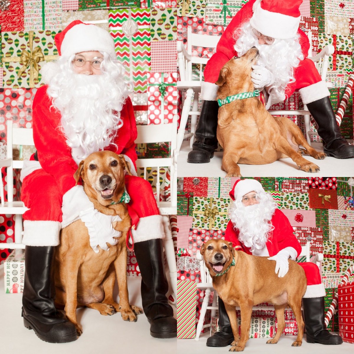 Texas Protax LLC tweet media