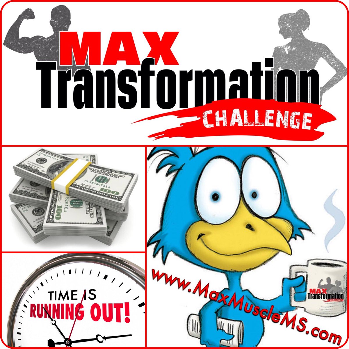 MaxMuscleMS's tweet image. Time is running out! Don't miss your chance to win your part of a prize package valued at $4,000 including $1,000 in cold hard CASH! Early bird registration ENDS tonight, 11/27/17 at 11:59pm!! MaxMuscleMS.com It's time to transform!!!