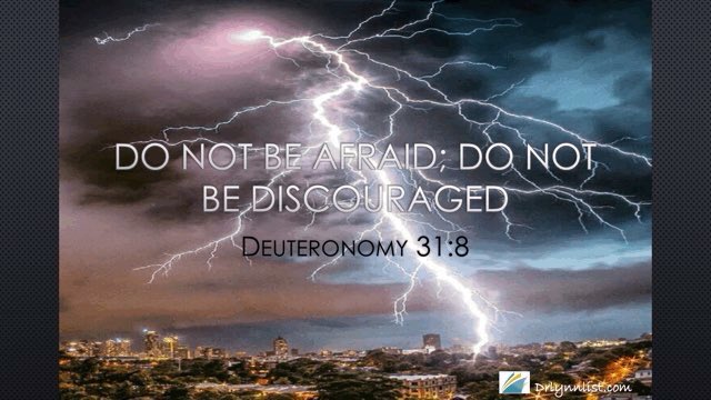 Dr Lynn List ✝ tweet media