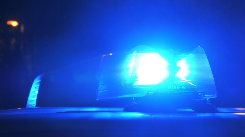 Earlybird On Twitter Bist Du Gut Nach Hause Gekommen Fragt