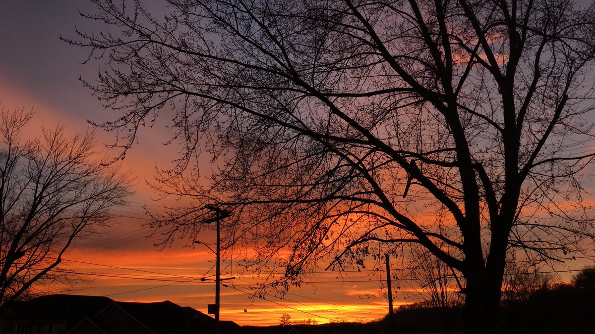McKenziePropp's tweet photo. the sky was set on fire tonight. https://t.co/o14BFb3gxD