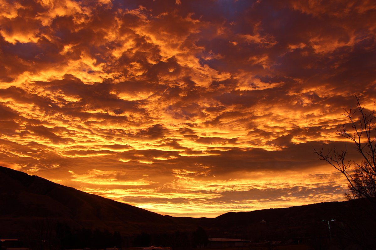 Draper City tweet media