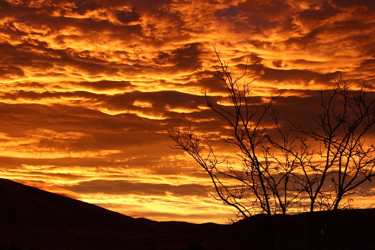 Draper City tweet media