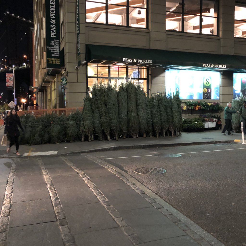 bmorrissey's tweet image. That magical time of the year when your bodega starts selling Christmas trees.