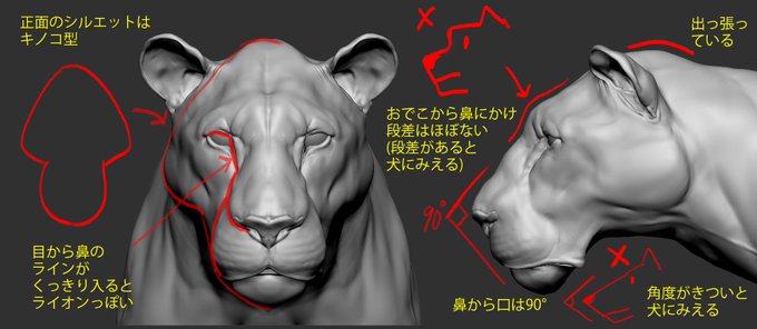 「ライオン」のTwitter画像/イラスト(人気順))