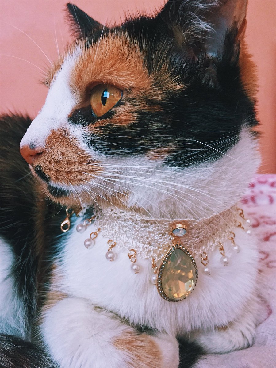 Good girls deserve diamonds .💎👑 https://t.co/MSFaERWQz3