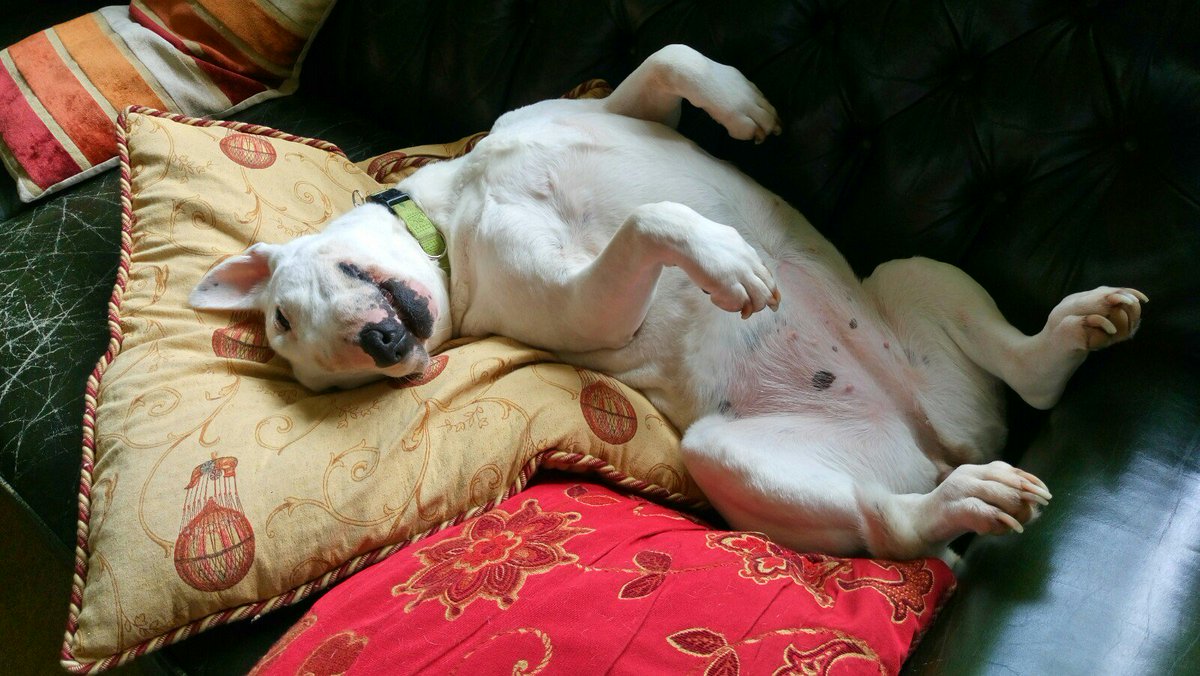 seqewet's tweet image. ❤❤❤