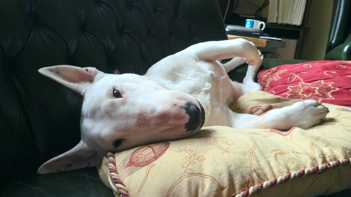 seqewet's tweet image. ❤❤❤