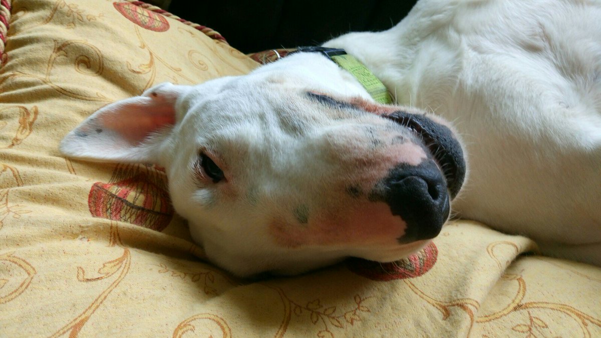 seqewet's tweet image. ❤❤❤