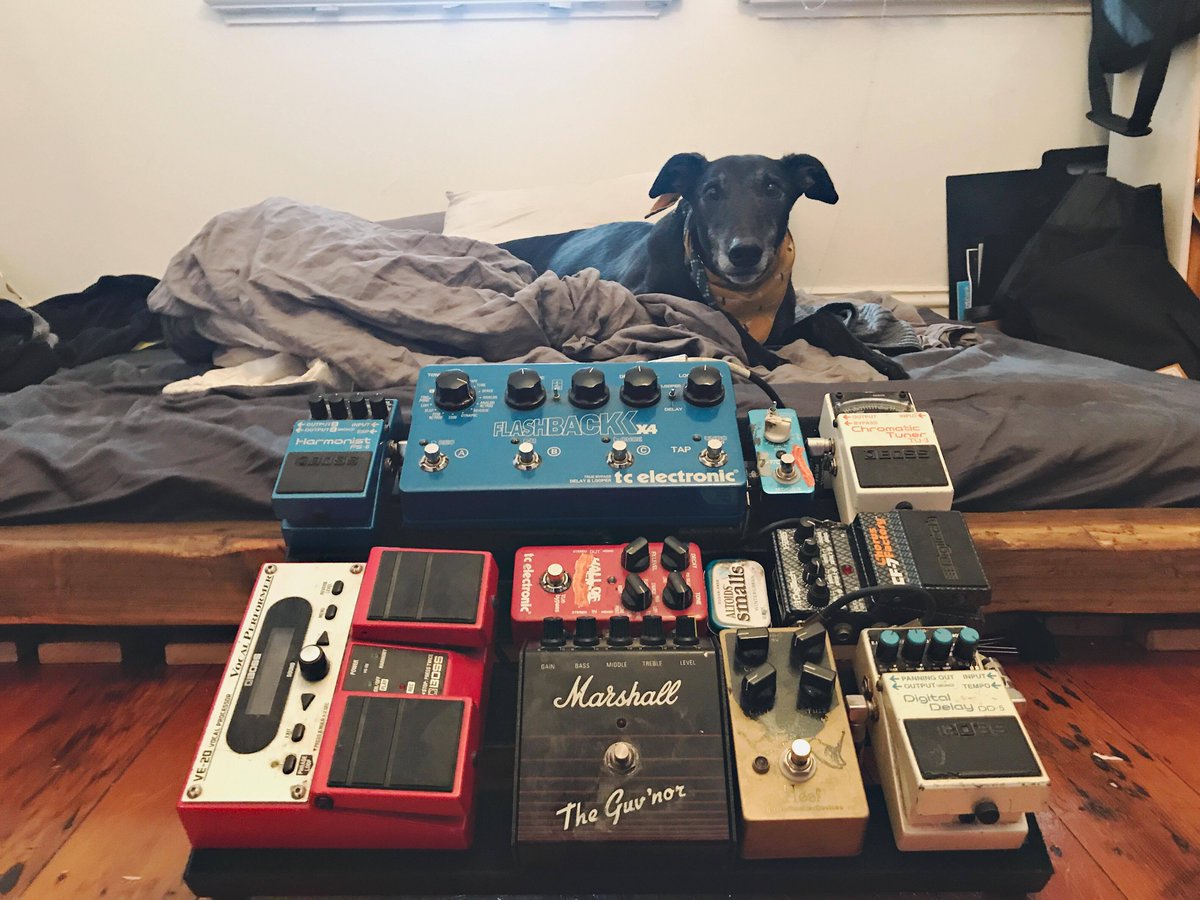 cullmusic's tweet photo. Culling my Cull board - are we still gazing? https://t.co/nPu2MwHw53