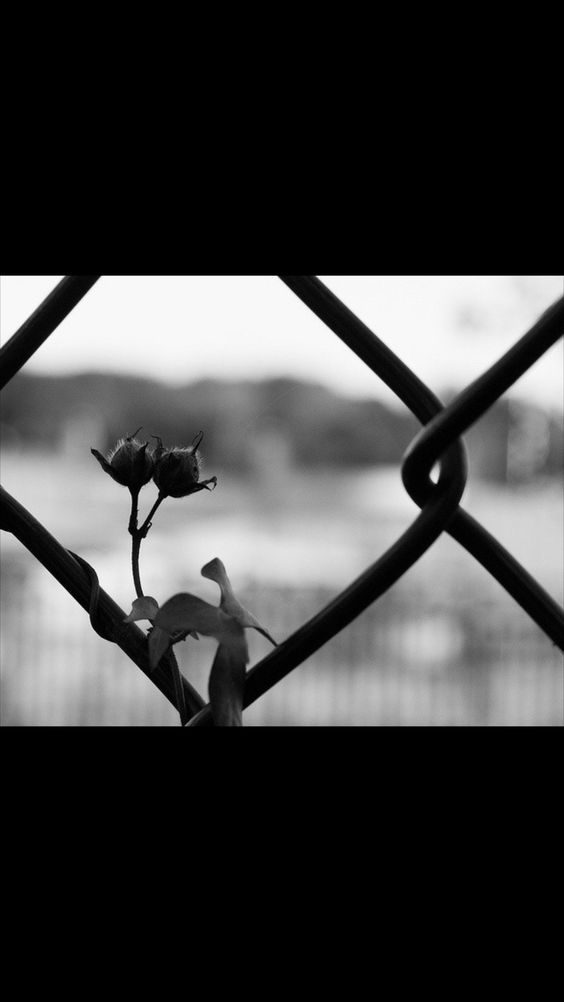 -Ce ne sont pas les monstres qui hantent notre imagination dont nous devons avoir peur, mais ceux que certains hommes sont capables d'incarner pour accomplir les pires horreurs...ROB'