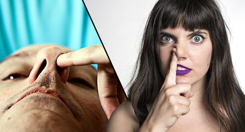 Tweets4Pay's tweet photo. Picking Your Nose And Eating It Is Good For You Apparently more here: https://t.co/ta9lpG2LBs https://t.co/halV2rSGwW