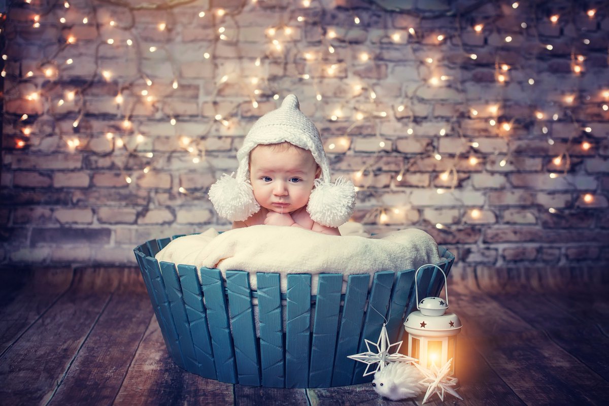 lookbookdesign's tweet photo. Transform your photos into season's keepsakes. Just select the #lookbookdesign style name when you order your next photo.
Get started: https://t.co/XjhJVPfJcw
#christmas #holidays  #holiday #winter #happyholidays s #lights  #tree  #ornaments   #xmas  #green #christmastree  #snow https://t.co/TqfyQhi57k
