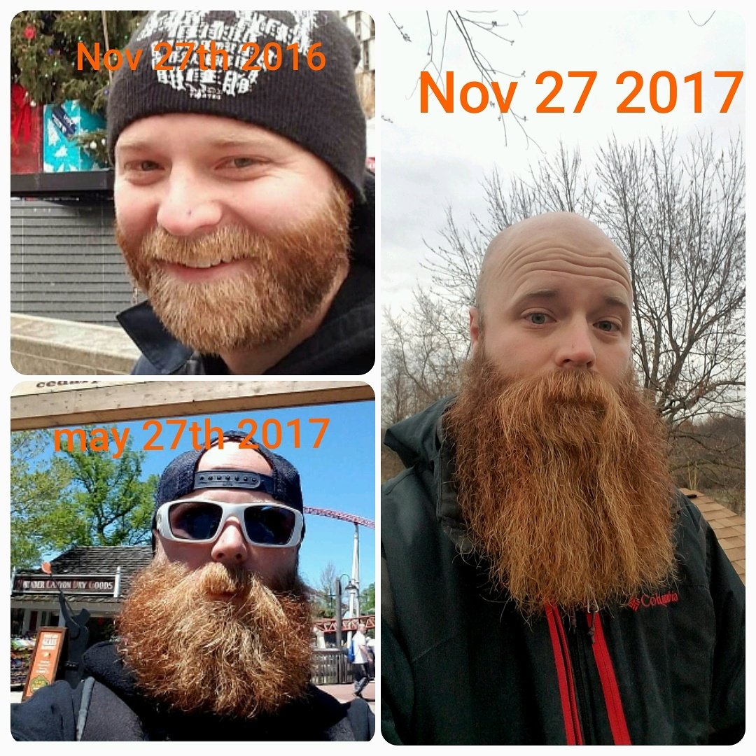 bobthebearder's tweet photo. Today is my #yeard and here's my #beardtransformation. Day I trimmed 6 months and today. #bobthebearder #beard #beards #bearded #noshavelife https://t.co/HnJ3yzCMSt