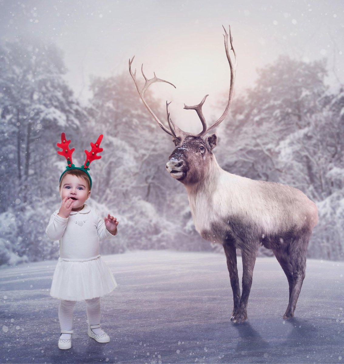 lookbookdesign's tweet photo. Transform your photos into season's keepsakes. Just select the #lookbookdesign style name when you order your next photo.
Get started: https://t.co/XjhJVPfJcw
#christmas #holidays  #holiday #winter #happyholidays #lights  #tree  #ornaments   #xmas  #green #christmastree  #snow https://t.co/JcUx9AHivB