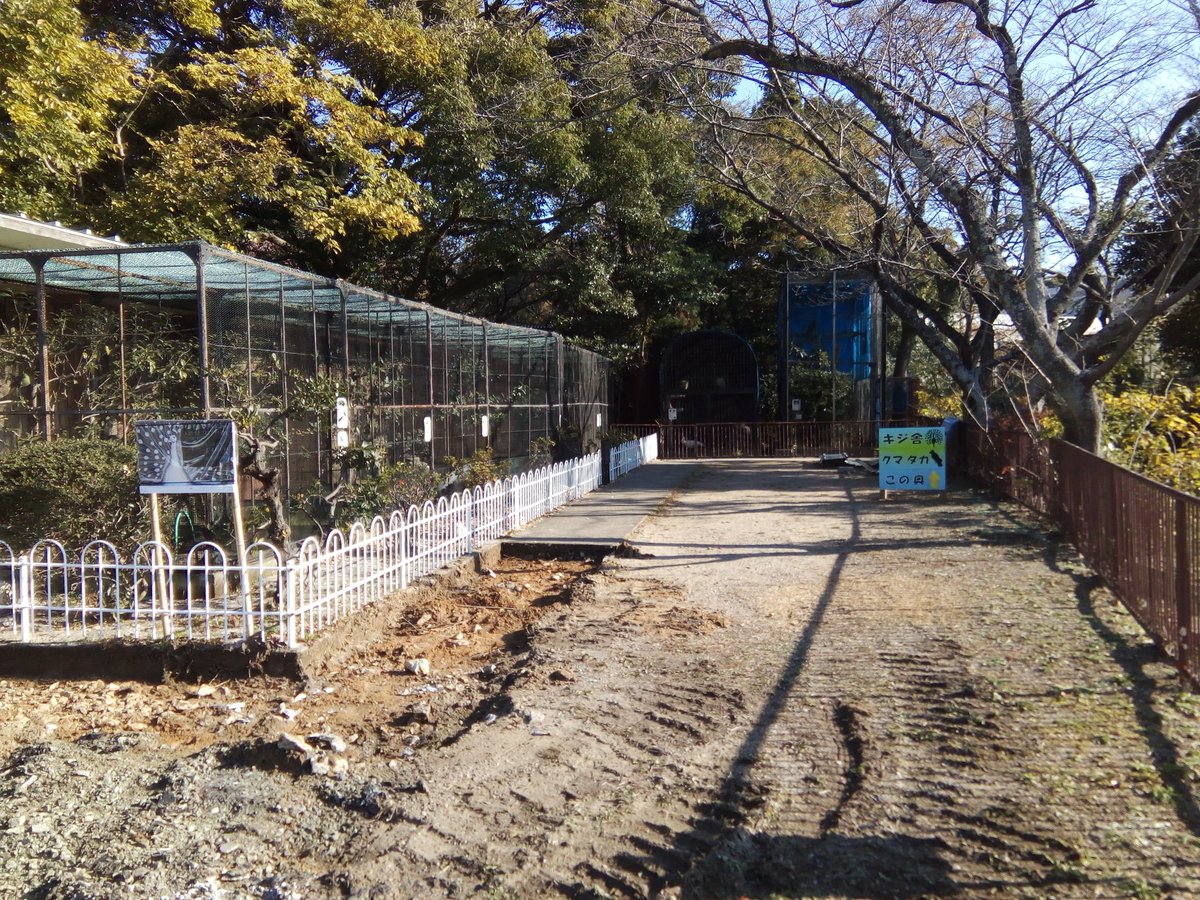豊橋総合動植物公園 豊橋のんほいパーク Twitter પર 園内リニューアル工事の為 バードエリアの展示を一部中止させていただきます ご迷惑をお掛けしますが ご了承下さい のんほいパーク