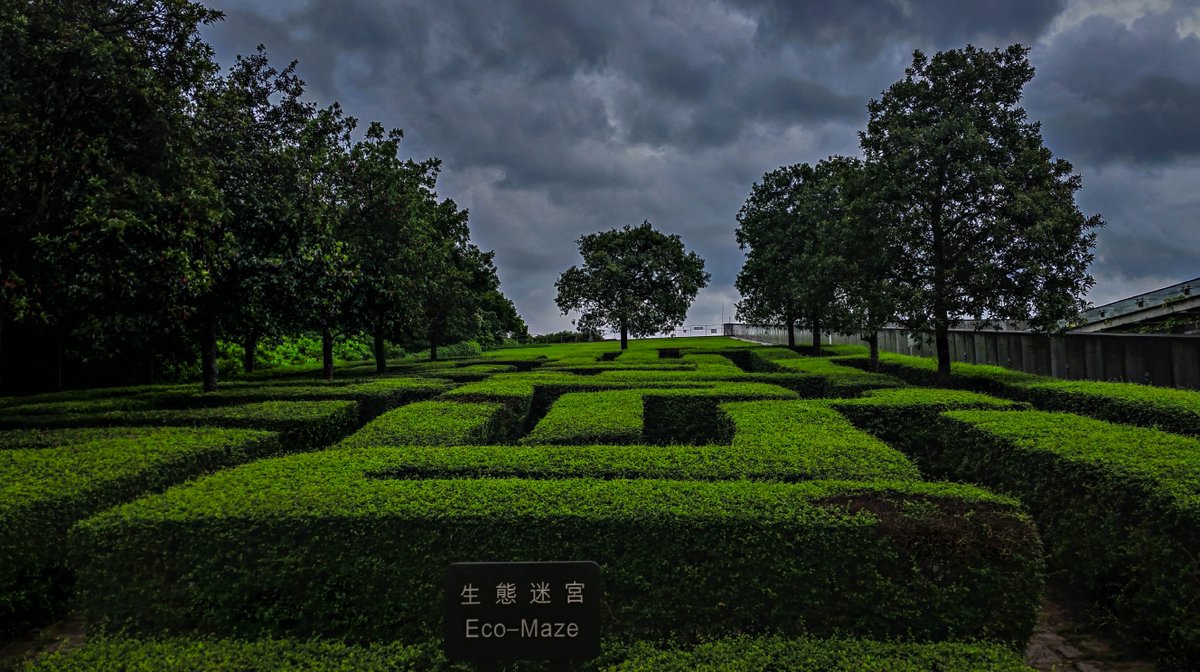 InThaime's tweet photo. Do hedge funds fund hedge mazes? - #photography #Singapore #postcard #hedges https://t.co/i0MPATHZah