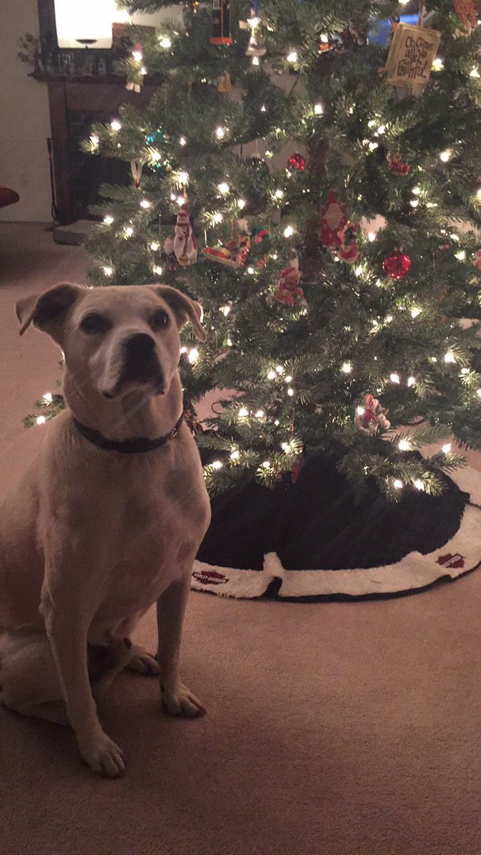 Christina❂ tweet media