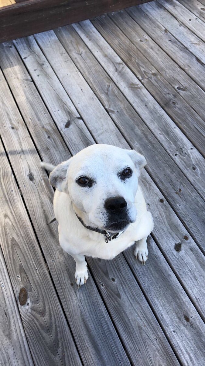 Christina❂ tweet media