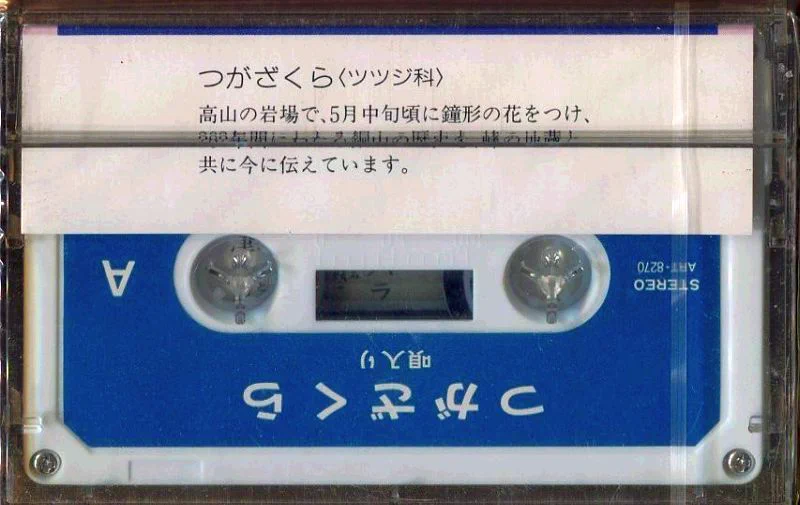 駿河屋更新情報【公式】 on X: 