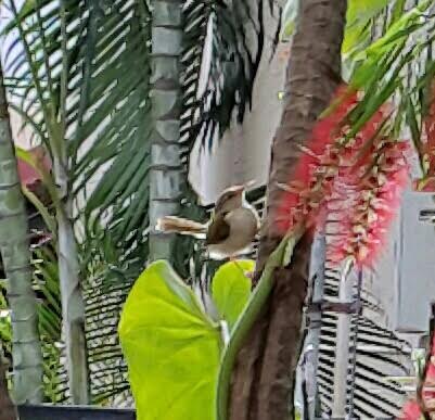 P4Happiness's tweet photo. In the mathematics of #Happiness 
Things that are Small,
Things that are Simple
Have more Value than
Things that are 
Big &amp; Expensive https://t.co/MuriuGEJ9K