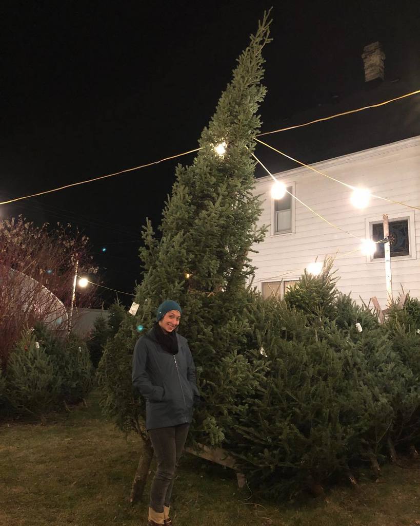 mjrasque's tweet photo. Tree! https://t.co/3NaqmyXhIv