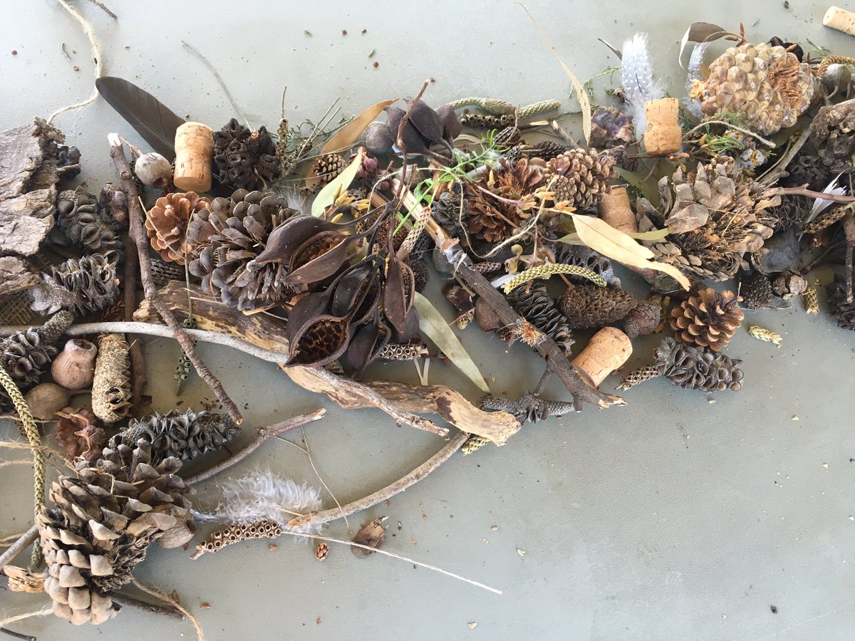 skormond_amy's tweet photo. What can you create? It needs to have a job for the environment. Where does it live? What's the name of your bushkin? https://t.co/ShDxHDyL7b
