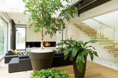 azragtnerb's tweet photo. Going green doesn’t stop at separating paper and plastics every month.  There are several low cost and free steps you can take: https://t.co/BdLOPPPs6U

#hvac #hvactips #homeownertips #homeowner # hvacrepair #evergysavingtips https://t.co/5Xt81GbvDG