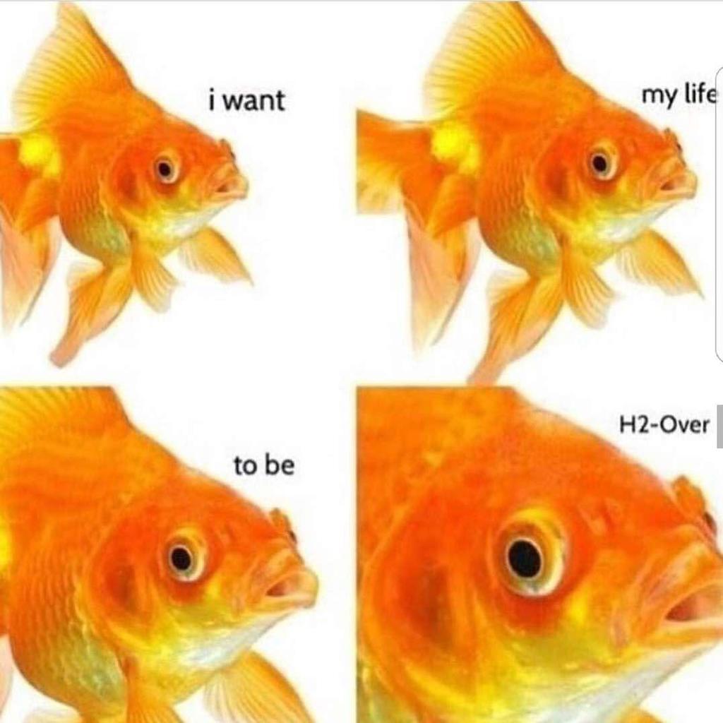 2meirl4meirlBOT tweet media