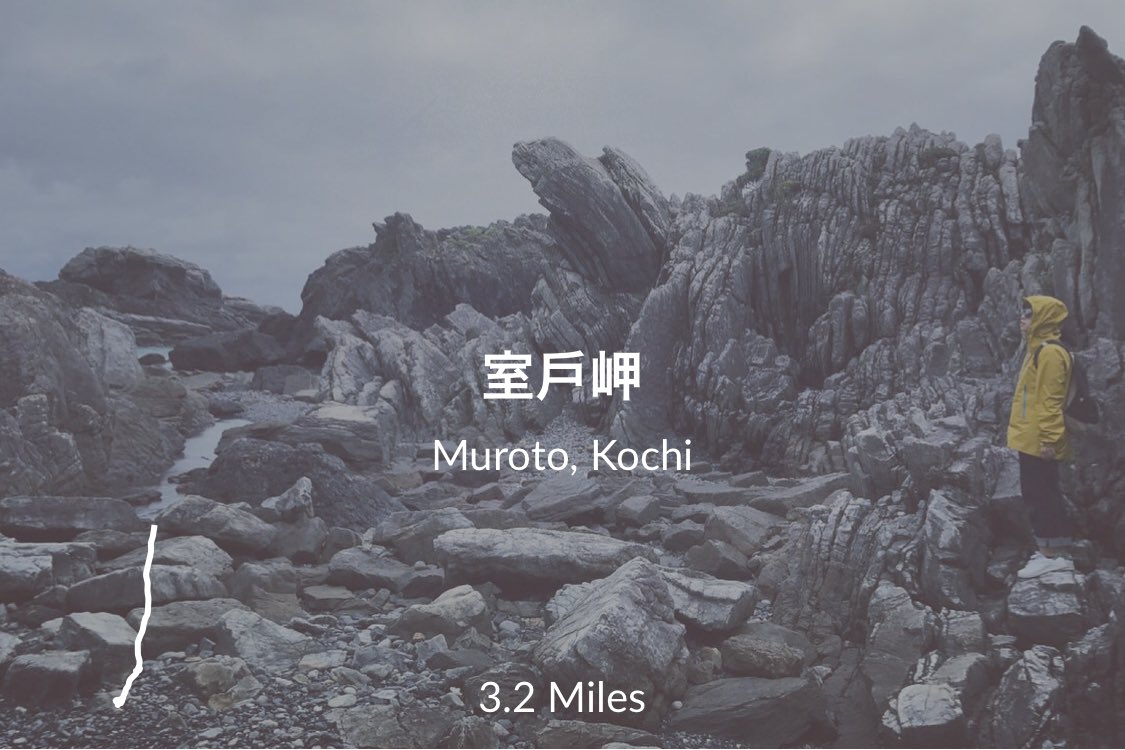 gowanderco tweet picture