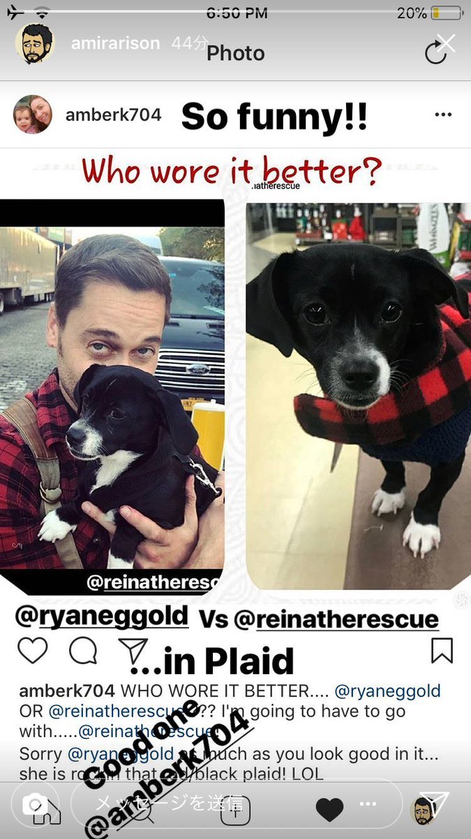 アミール アリソン